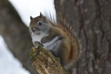 La Plaine 25 Février 2024