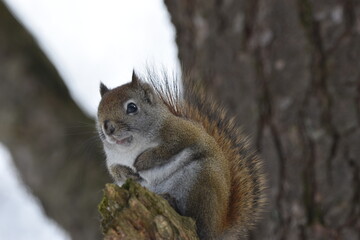 La Plaine 25 Février 2024