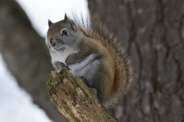 La Plaine 25 Février 2024