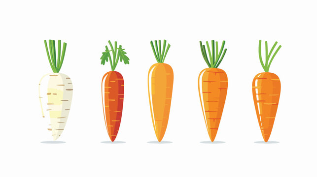 Carrot Food Healthy Image Vector Illustration Eps 10