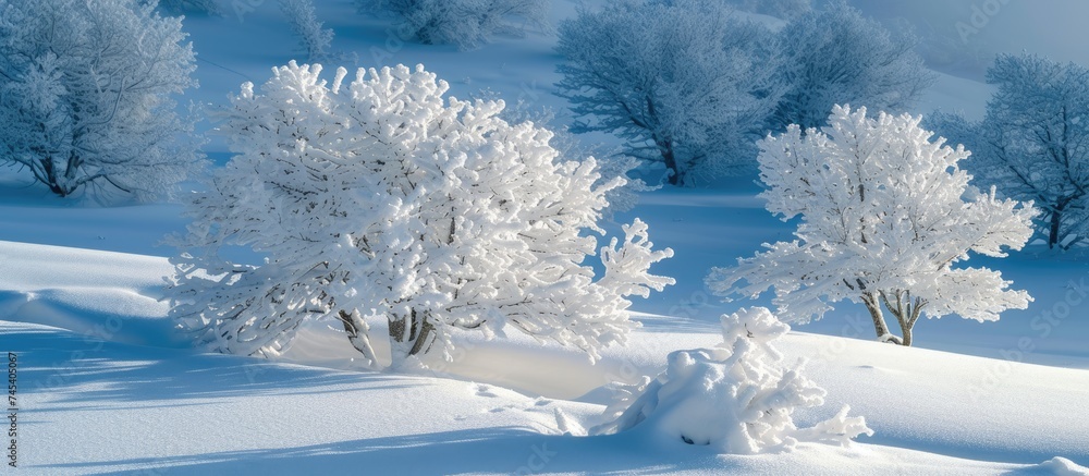 Poster a winter landscape featuring a snow-covered field dotted with trees and bushes. the trees are bare, 