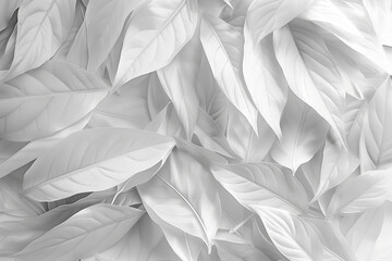 a pile of white leaves background - obrazy, fototapety, plakaty