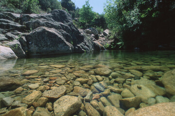 river and rocks in the mountains, Monte Limbara (Tempio)