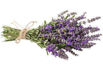 Fototapeta premium Lavender bouquet tied with twine