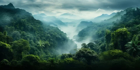 Fotobehang Landscape of Rainforest in South America © toomi123