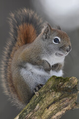 Obraz premium La Plaine 25 Février 2024