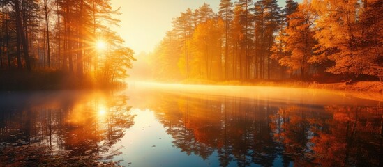 Fototapeta premium A body of water, surrounded by dense trees, reflects the colors of the stunning sunrise. The tranquil lake serves as a mirror to the lush greenery, creating a beautiful scene.