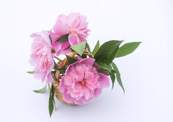 Fototapeta na wymiar Beautiful fragrant flowers. Pink peonies in a small basket. Floral decor.