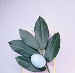 Easter decoration with green leaves on pink background 
