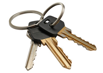 Set of various keys on keyrings, cut out - stock png.