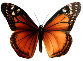 Old world swallowtail butterfly isolated on transparent background Closeup beautiful butterfly Retro Vintage