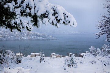 winter landscape with snow