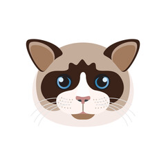 Ragdoll cat face with blue eyes, whiskers and colorpoint coat on muzzle vector illustration
