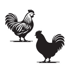 Elegant Hen Silhouette Vector - Minimalistic Poultry Farm Collection, Rural Charm: rooster, Hen and Chicken Outlines - Agriculture Vector Illustrations, Graceful Hen Silhouette, Cock silhouettes