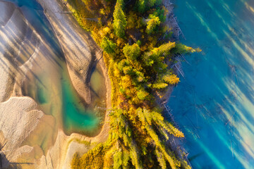 A drone view of the river in the forest. An aerial view of an forest. River among the trees. Aerial landscape. Landscape with soft light before sunset. - 745426647