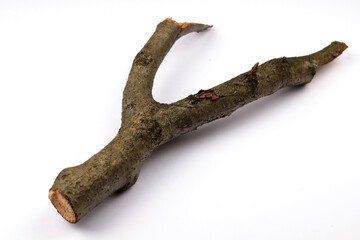 Obraz premium a tree trunk similiar with slingshot with white back ground