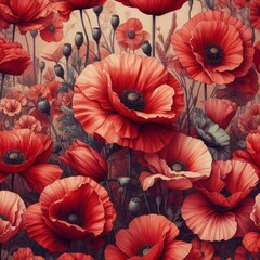 poppies  pattern flowers background