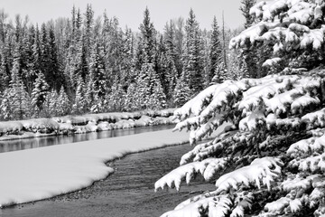 Snake River after snowstorm; Grand Teton NP; Wyoming