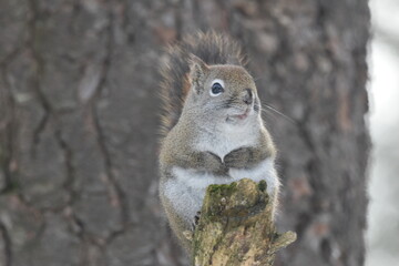 La Plaine 25 Février 2024