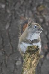 La Plaine 25 Février 2024