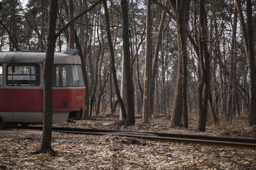 Pushcha-Vodytsia, Ukraine. February 22, 2024. The sun is shining in the last days of winter....