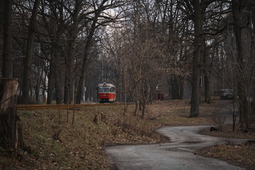 Pushcha-Vodytsia, Ukraine. February 22, 2024. The sun is shining in the last days of winter. incredible beauty in the forest. a tram goes from Kyiv to the forest. goes through the city into the forest