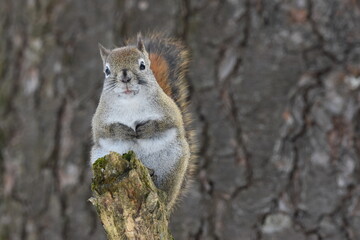 La Plaine 25 F&eacute;vrier 2024