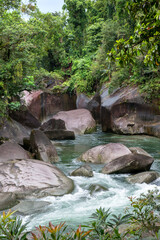 Rainforest Scenery with creek and cascades south of Cairns, Queensland, Australia