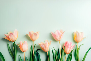 Peach tulips on light green background. Spring holidays concept. Top view, flat lay - obrazy, fototapety, plakaty