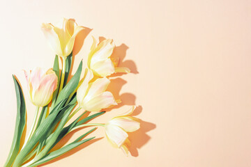 Bouquet of yellow tulips on light peachy background with sharp shadows. Top view, flat lay, copy space