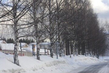 winter landscape with snow