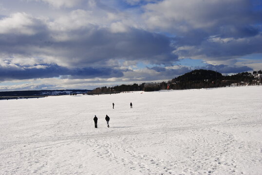 Östersund, Sweden 2024.02.25 
   Park and lake in winter in the city. Winter park in Östersund. People sunbathe, barbecue, ski, and skate.

