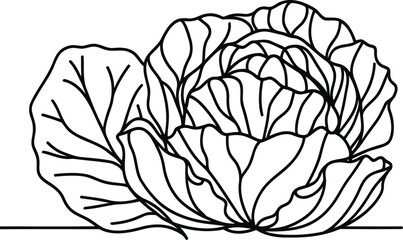 cabbage in continuous line drawing minimalist style,  - obrazy, fototapety, plakaty