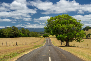 Follow the tranquil country road near Lake Tinaroo in Far North Queensland, Australia, where lush landscapes and serene waters weave a picturesque journey.