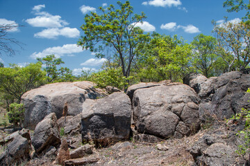 Near Georgetown, Far North Queensland, Australia, rugged Outback scenery showcases granite boulders...