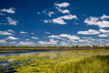 Explore the pristine wonders of Mareeba Wetlands near Mareeba, Far North Queensland, Australia. A...