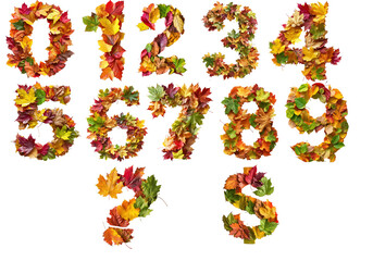 Autumnal Numbers and Symbols Made of Colorful Fall Leaves for Seasonal Education and Design. 0,1,2,3,4,5,6,7,8,9?,$