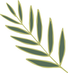 Olive branch, palm branch, laurel, willow, illustration on transparent, png