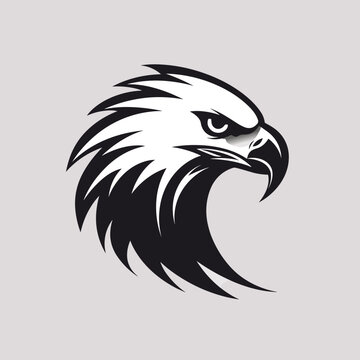 Mascot Head of an Eagle, vector illustration