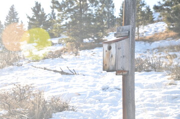 bird house in the snow
