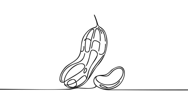 One single line drawing of whole healthy organic peanut for farm logo identity.