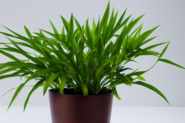 plant in flowerpot, generative ai