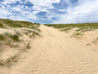 Landscape of sand dunes and plants under a blue sky at the beach in South Australia