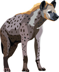 Hyena Mammal Animal Vector