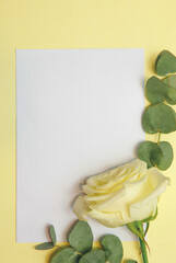 Kartka papieru na żółtym tle, róża i eukaliptus położona na białej kartce. Miejsce na tekst. - obrazy, fototapety, plakaty
