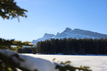 winter landscape in the mountains