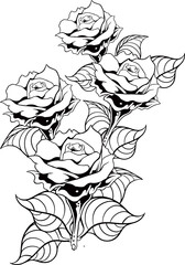 Rose Flower Line Art