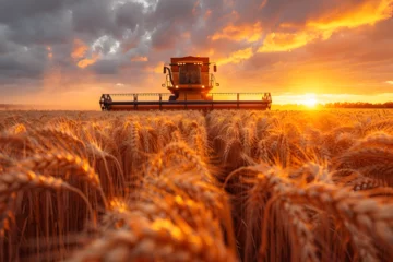 Foto op Canvas Grain Harvester at Work in a Wheat Field at Sunset © Ph2023AI