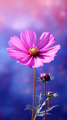 Obraz premium Colorful butterfly beauty plant water hibiscus red tropical frangipani spa stones Beautiful pink water lily flower made rose water splashed light emanating floating macro Photography Generative Ai