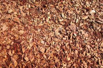 木質アプローチの木片